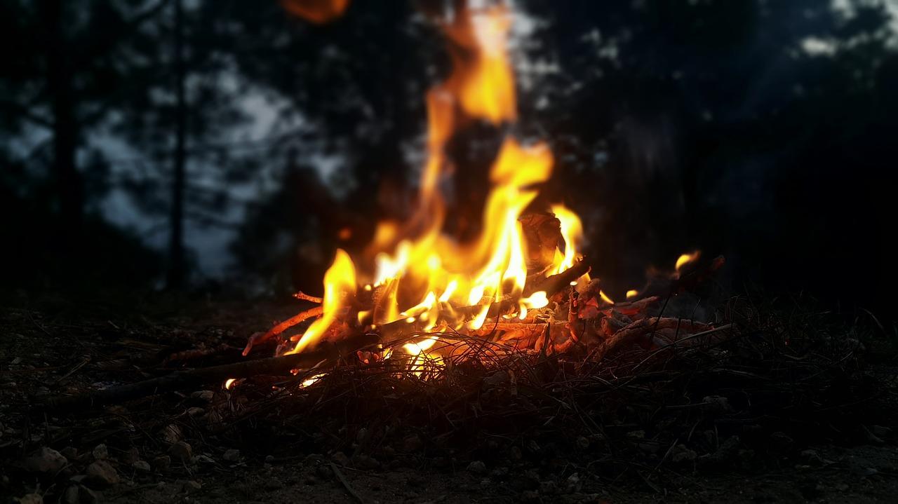 Adventurers Share Their Unexpected Encounters Camping In Nature