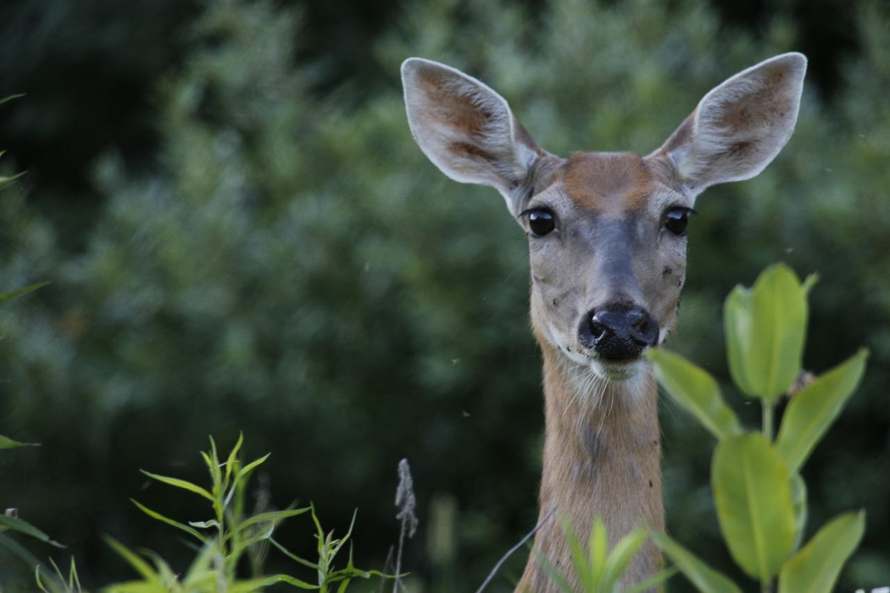 Wilderness Experts Share Their Weirdest Experience With Another Human Being