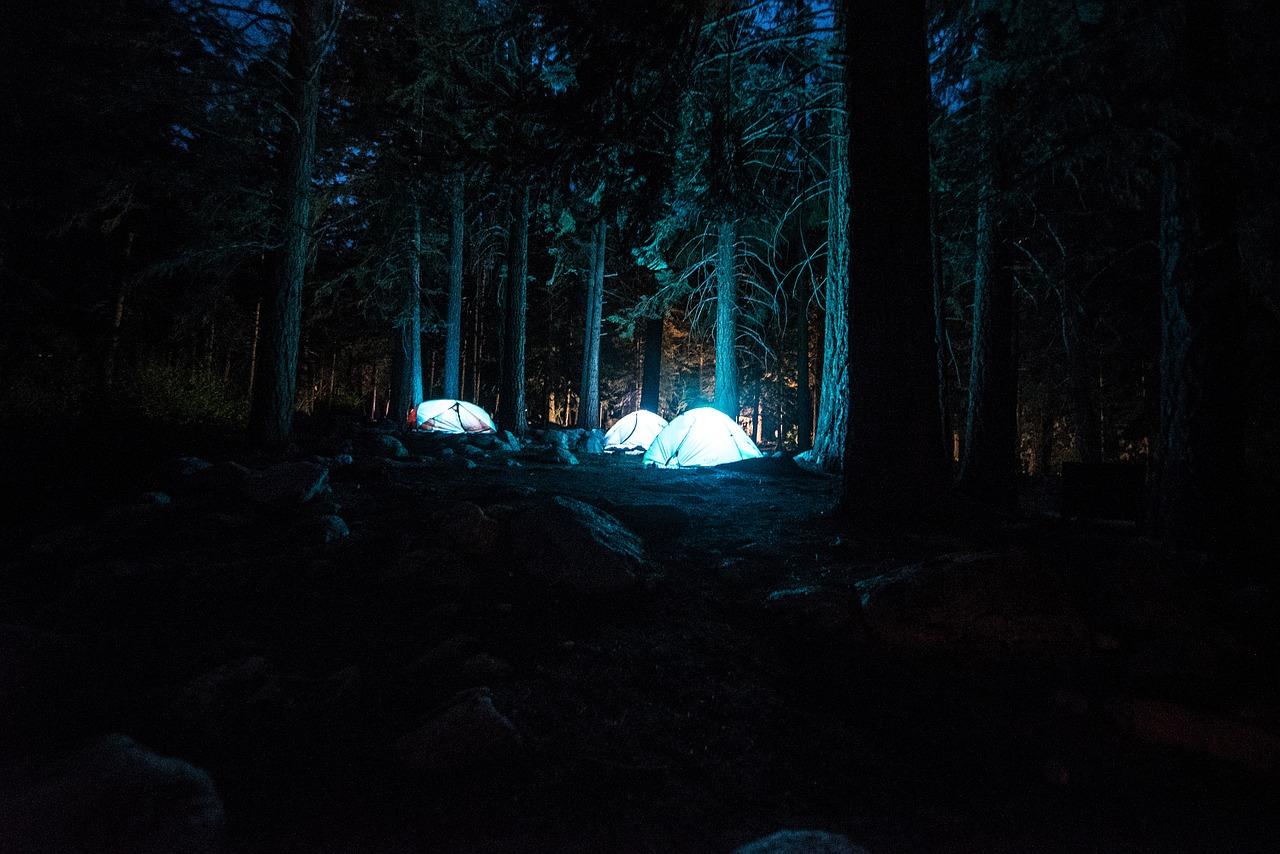 Wilderness Experts Share Their Weirdest Experience With Another Human Being