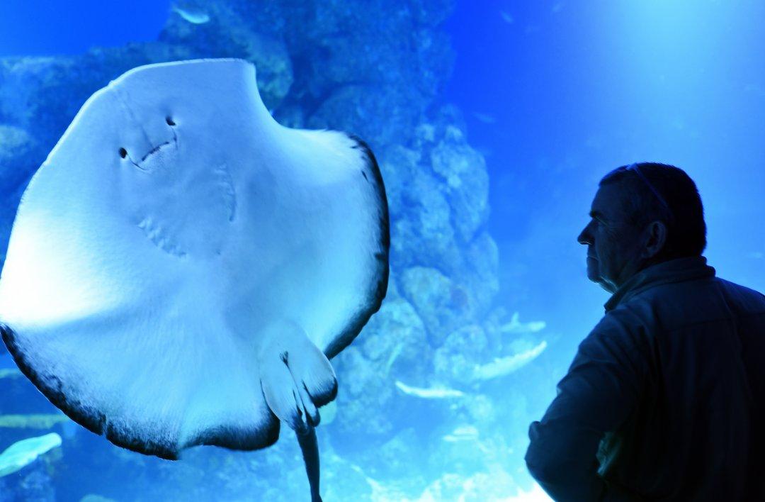 People Share The Local Animals From Their Countries That You Should Watch Out For