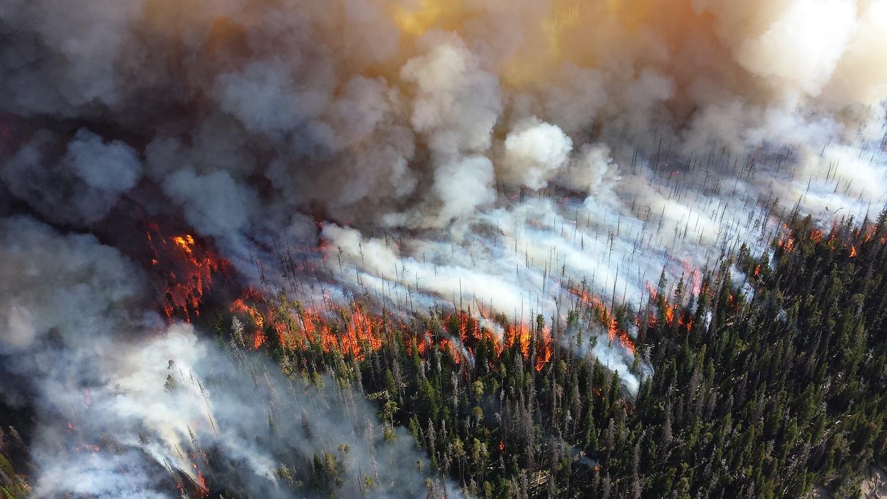 Natural Disaster Survivors From Around The World Share Their Stories