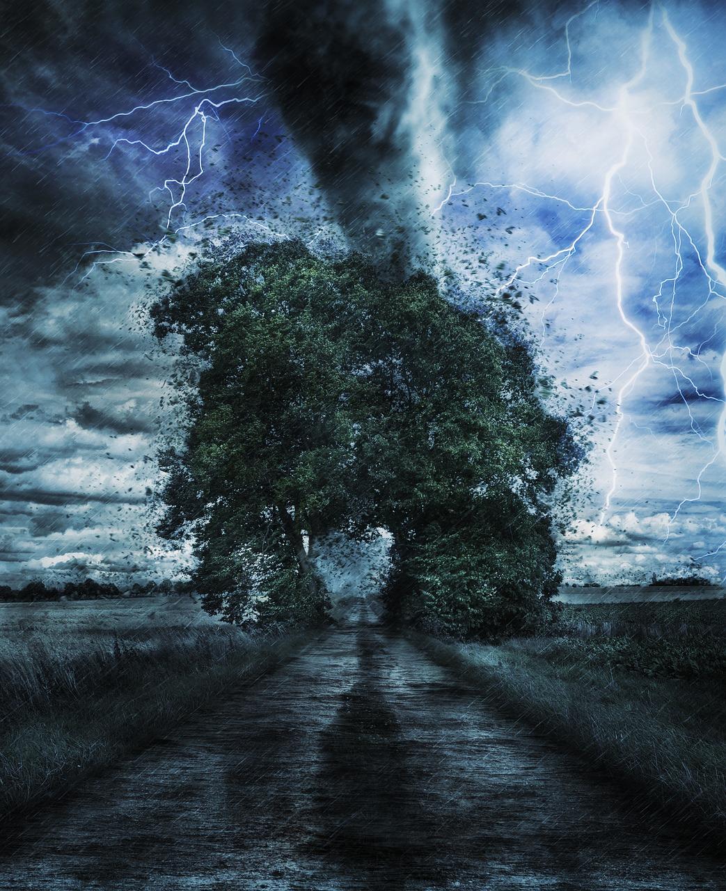 Natural Disaster Survivors From Around The World Share Their Stories