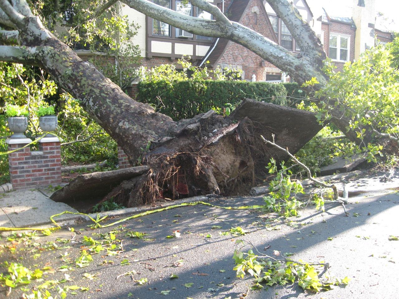 Natural Disaster Survivors From Around The World Share Their Stories