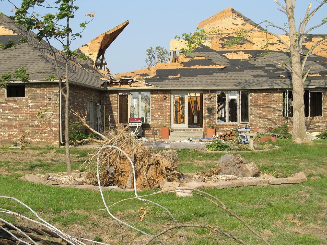 Natural Disaster Survivors From Around The World Share Their Stories