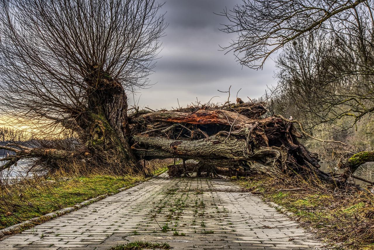 Natural Disaster Survivors From Around The World Share Their Stories