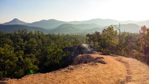 The Land Of Smiles: A Backpacker's Guide To Thailand