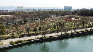 The Best Things To Do When Visiting Osaka