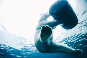 Sailors Share Unexplainable Things They've Seen At Sea