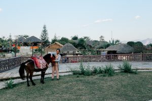 The Land Of Smiles: A Backpacker's Guide To Thailand