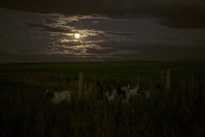 Campers Share Spooky Experiences They Had In The Wilderness