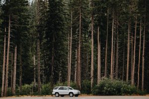 National Park Rangers Share Their Scary Encounters On The Job