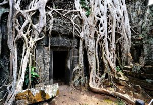 Iconic Film Locations From Your Favorite Movies That Are Worth Visiting