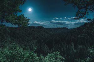 Campers Share Spooky Experiences They Had In The Wilderness