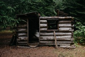 National Park Rangers Share Their Scary Encounters On The Job