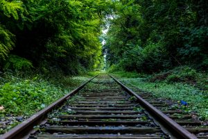 Train Conductors Share The Unreal Things They've Seen On The Railroad