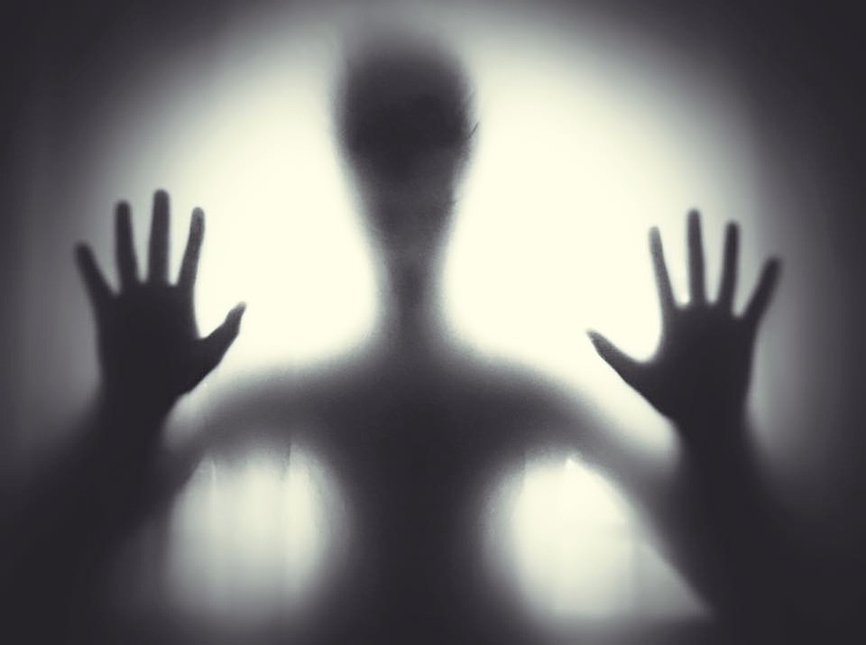 Campers Share Spooky Experiences They Had In The Wilderness