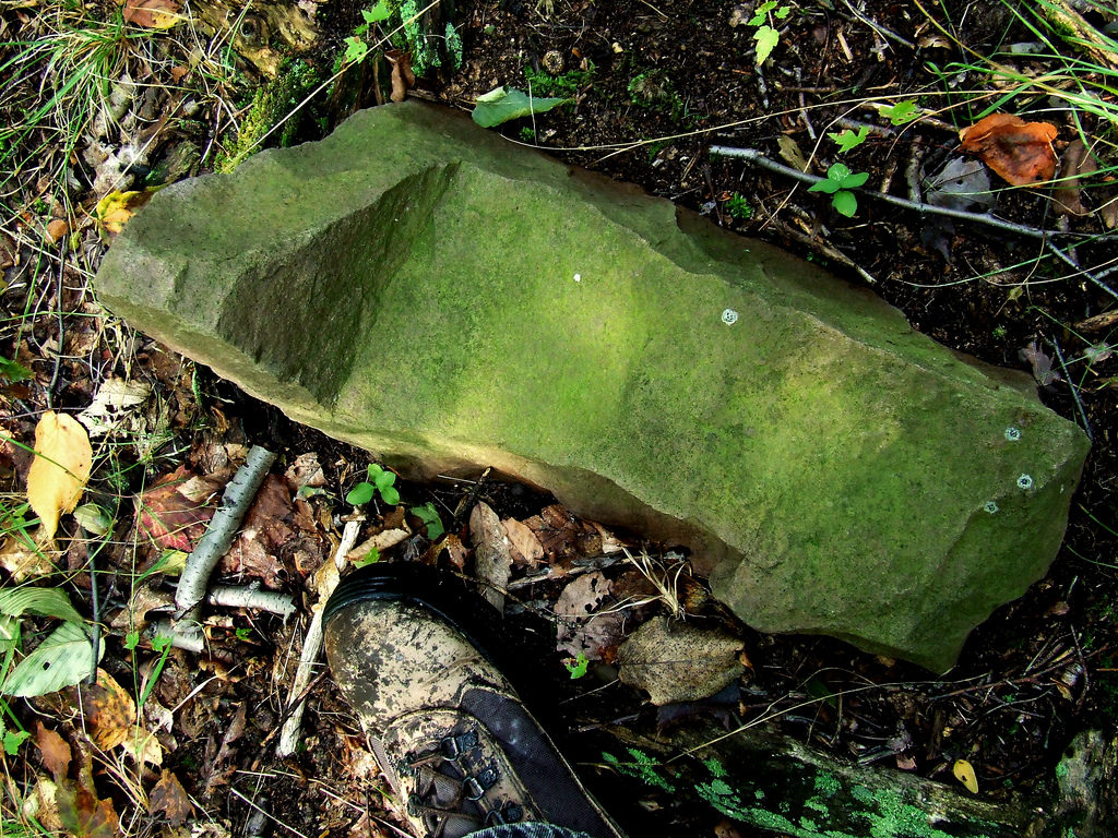 Campers Share Spooky Experiences They Had In The Wilderness