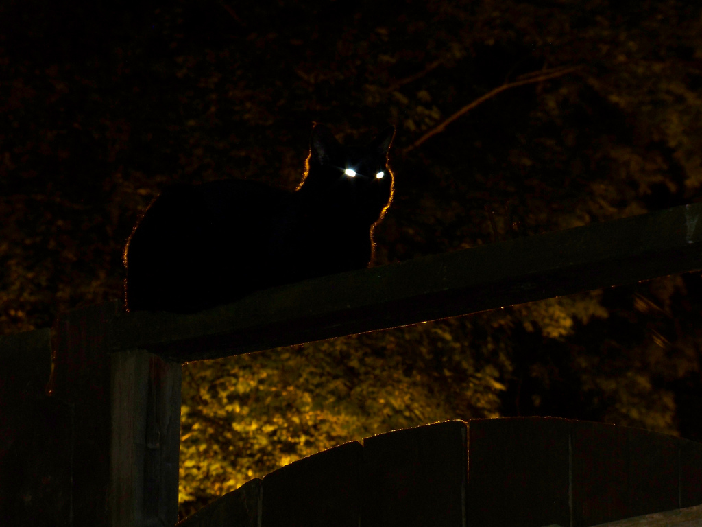 Campers Share Spooky Experiences They Had In The Wilderness