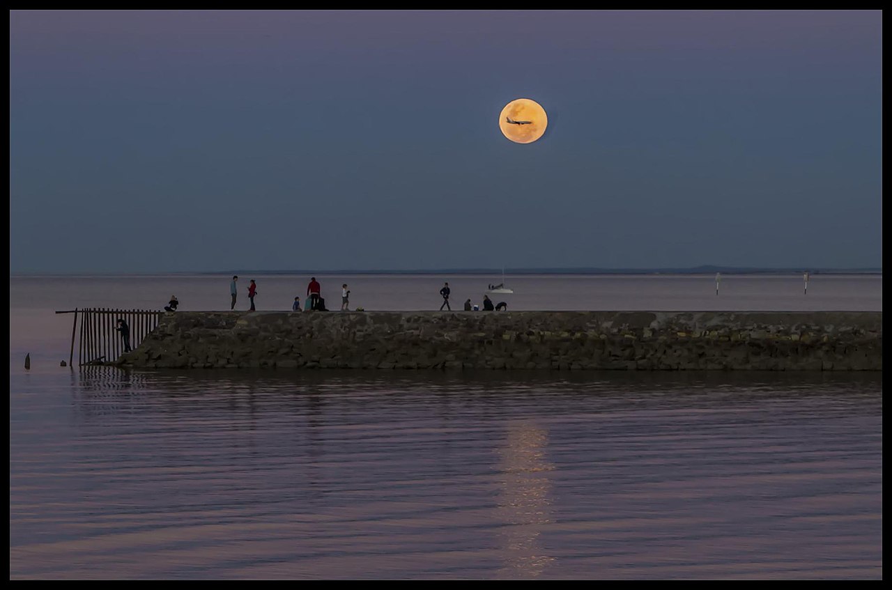 People Share The Most Unexpected Things They Saw While Visiting Australia