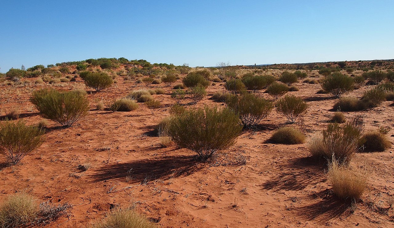 People Share The Most Unexpected Things They Saw While Visiting Australia