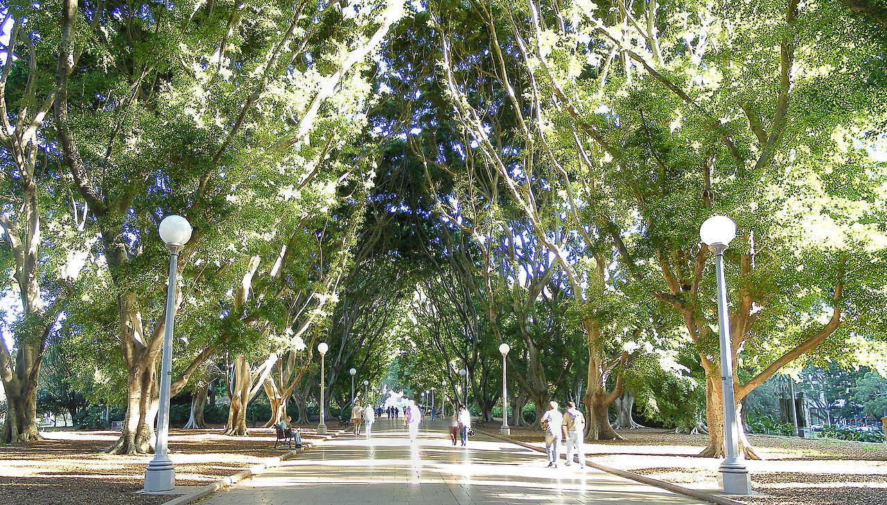 People Share The Most Unexpected Things They Saw While Visiting Australia