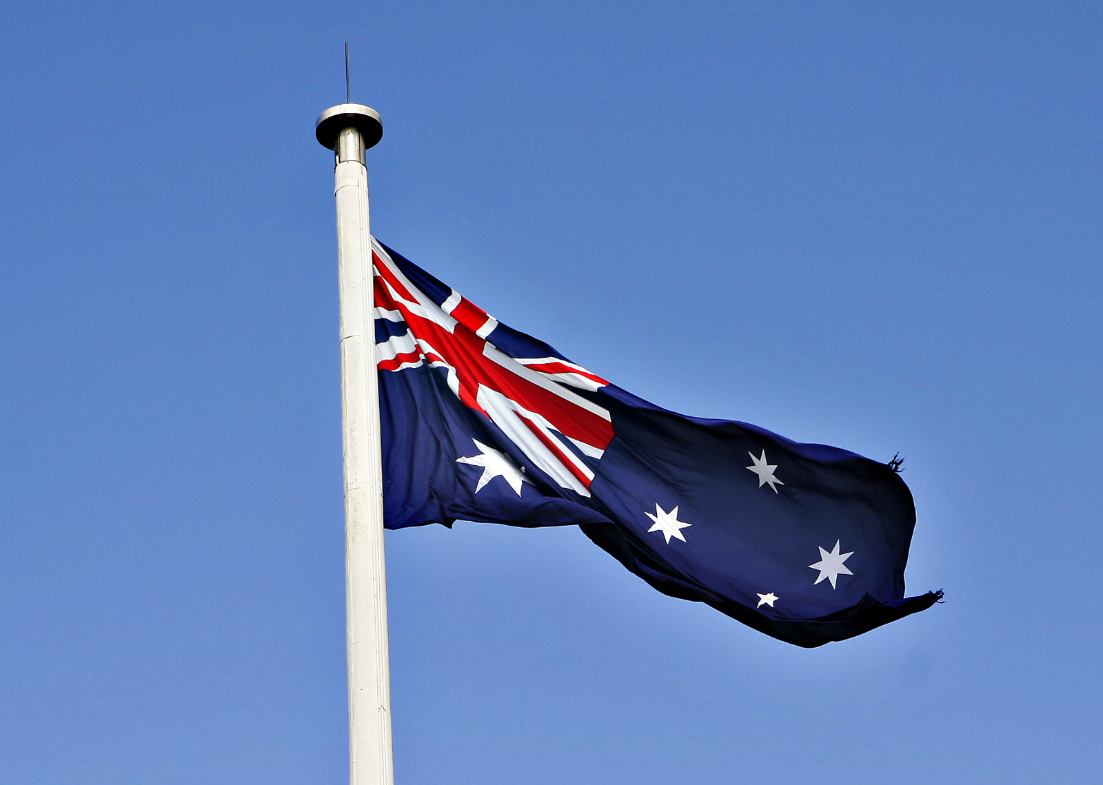 People Share The Most Unexpected Things They Saw While Visiting Australia