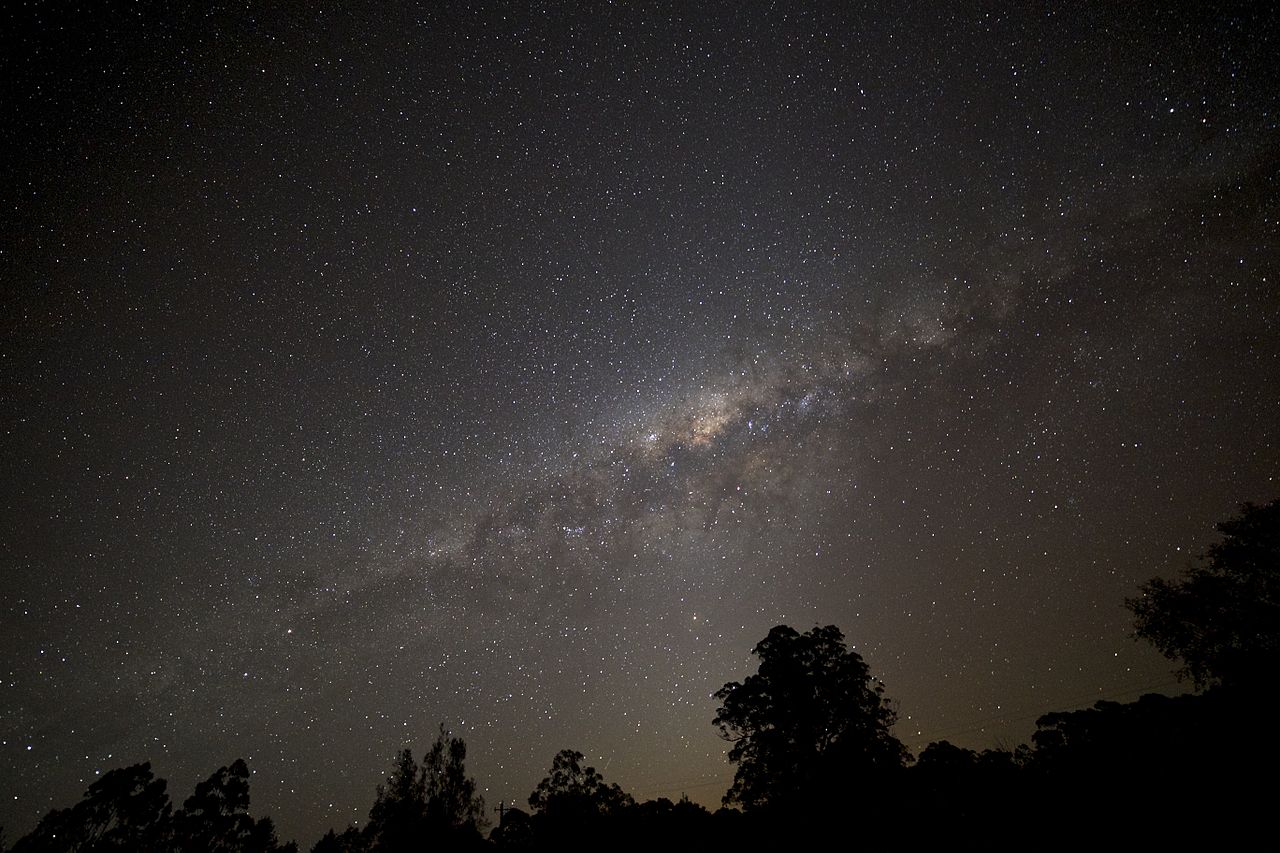 People Share The Most Unexpected Things They Saw While Visiting Australia