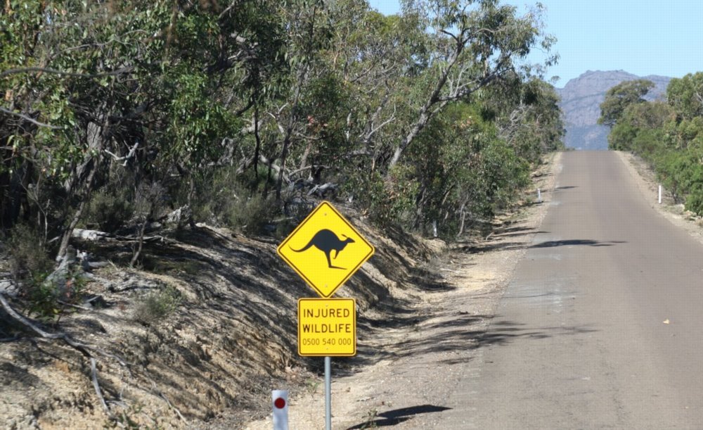 People Share The Most Unexpected Things They Saw While Visiting Australia