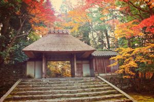 A Backpacker's Guide To Kyoto: The Cultural Heart Of Japan