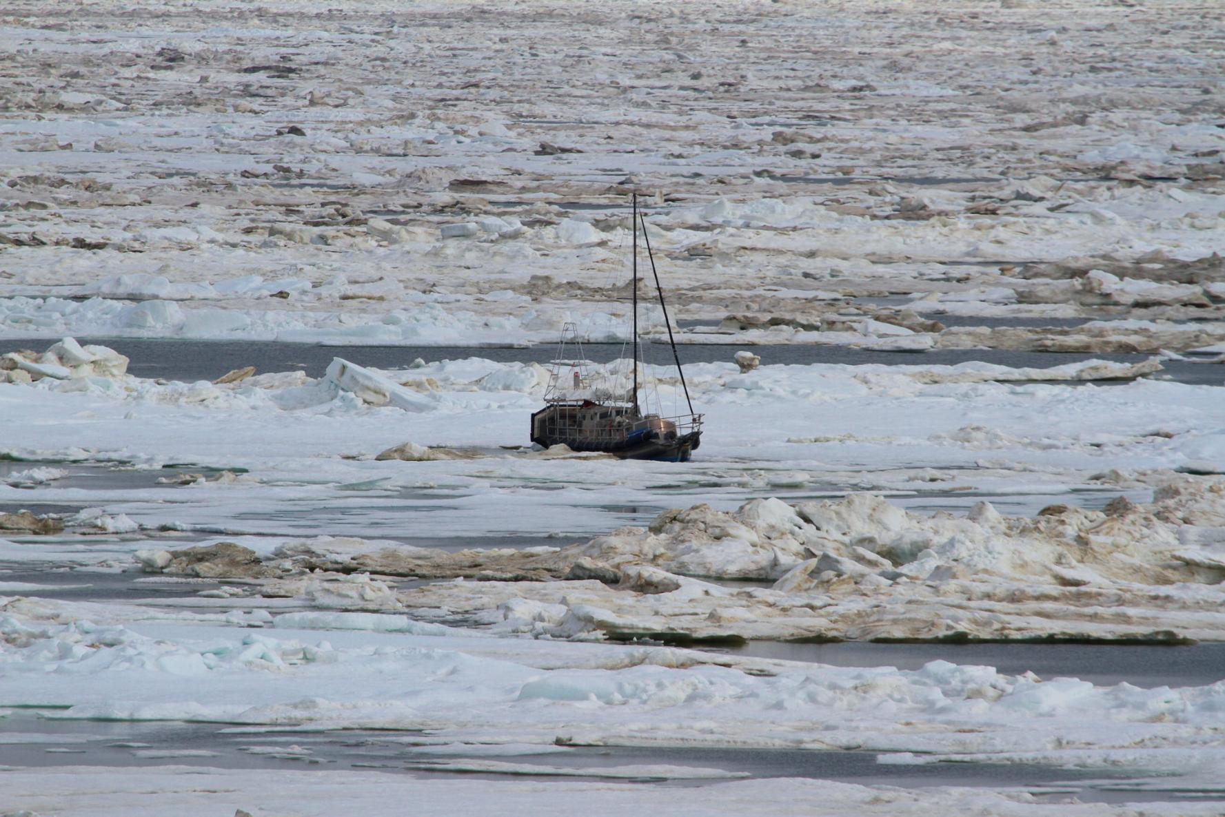 Survivors Share How They Survived Crashes, Avalanches, And Other Disasters