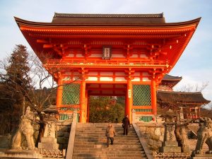 A Backpacker's Guide To Kyoto: The Cultural Heart Of Japan