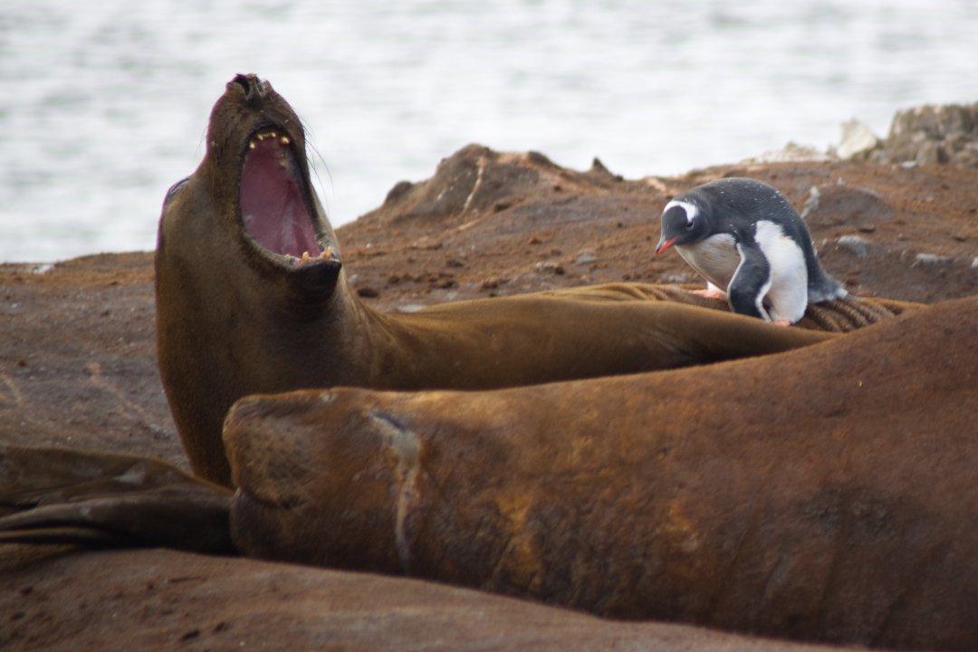 Weird Sea World: People Who Have Lived On the Ocean Share Their Strangest Encounters