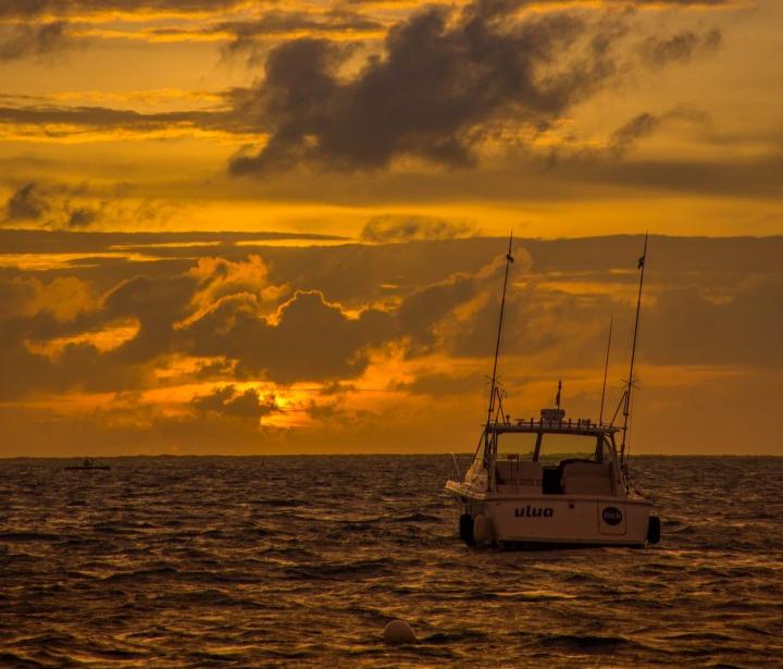Weird Sea World: People Who Have Lived On the Ocean Share Their Strangest Encounters