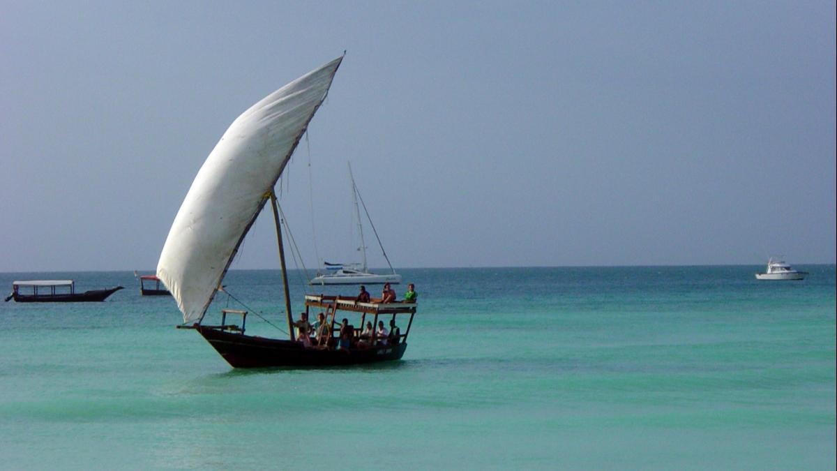 Weird Sea World: People Who Have Lived On the Ocean Share Their Strangest Encounters