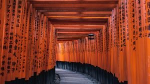 A Backpacker's Guide To Kyoto: The Cultural Heart Of Japan