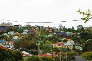 What To Do In Brisbane: The Gateway To Australia's Gold Coast