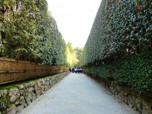 A Backpacker's Guide To Kyoto: The Cultural Heart Of Japan