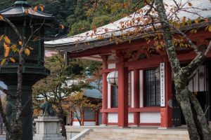 A Backpacker's Guide To Kyoto: The Cultural Heart Of Japan
