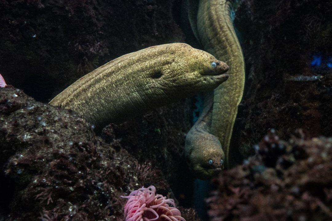 Oddities Submerged: Divers Share The Weirdest Things They Ever Found Under Water