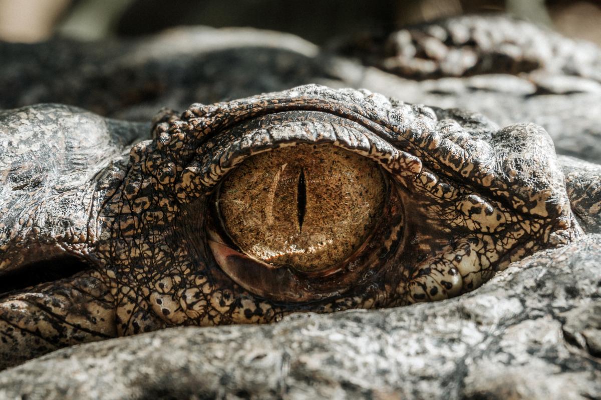 Oddities Submerged: Divers Share The Weirdest Things They Ever Found Under Water