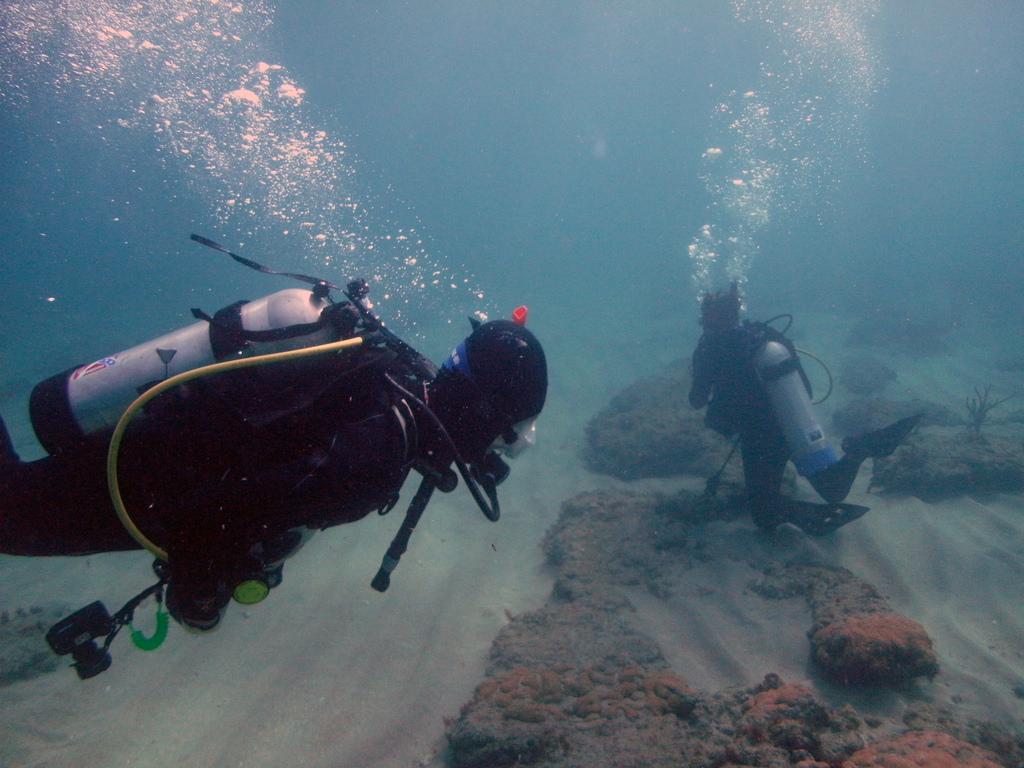 Scuba Divers Share The Strangest Thing That Has Ever Happened To Them Underwater