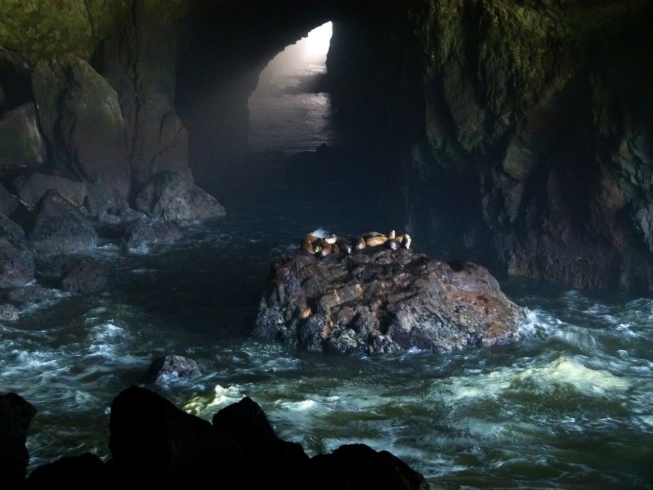Scuba Divers Share The Strangest Thing That Has Ever Happened To Them Underwater