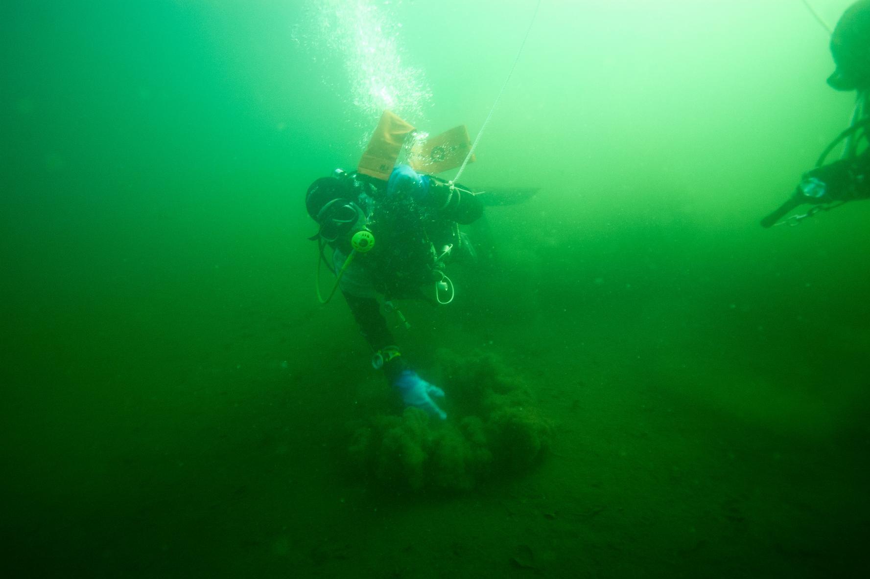 Scuba Divers Share The Strangest Thing That Has Ever Happened To Them Underwater