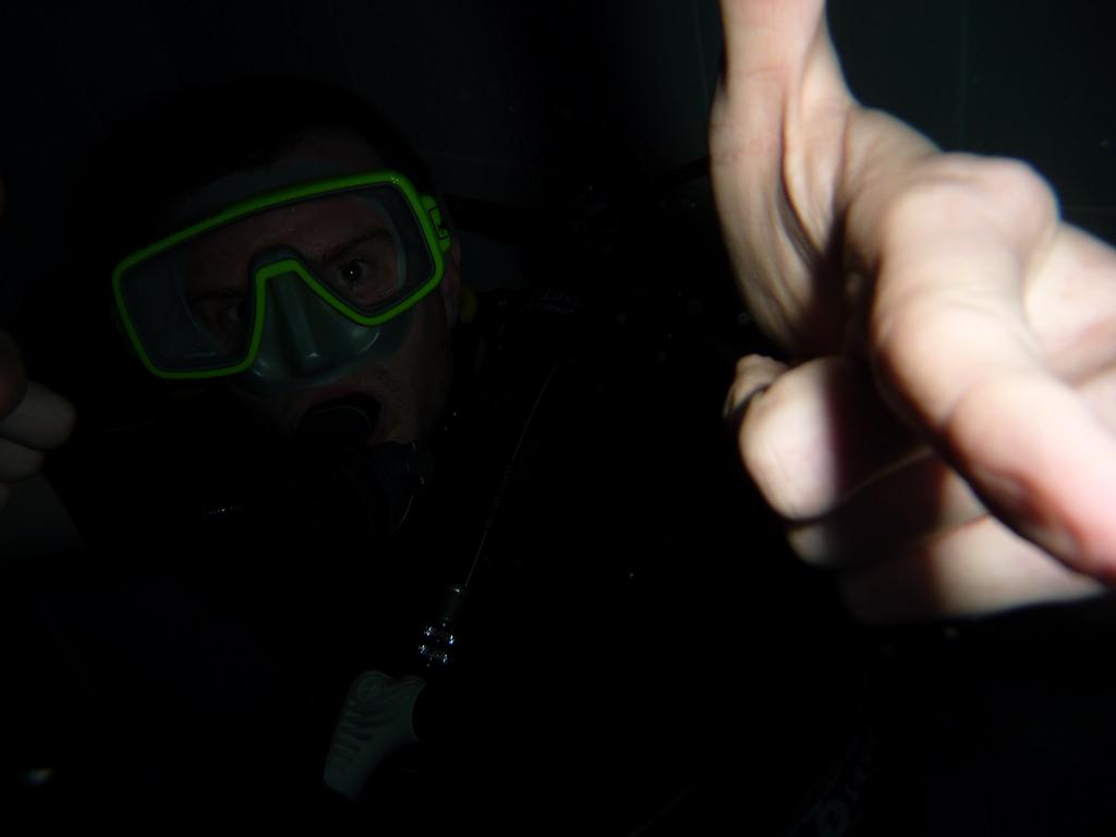 Scuba Divers Share The Strangest Thing That Has Ever Happened To Them Underwater