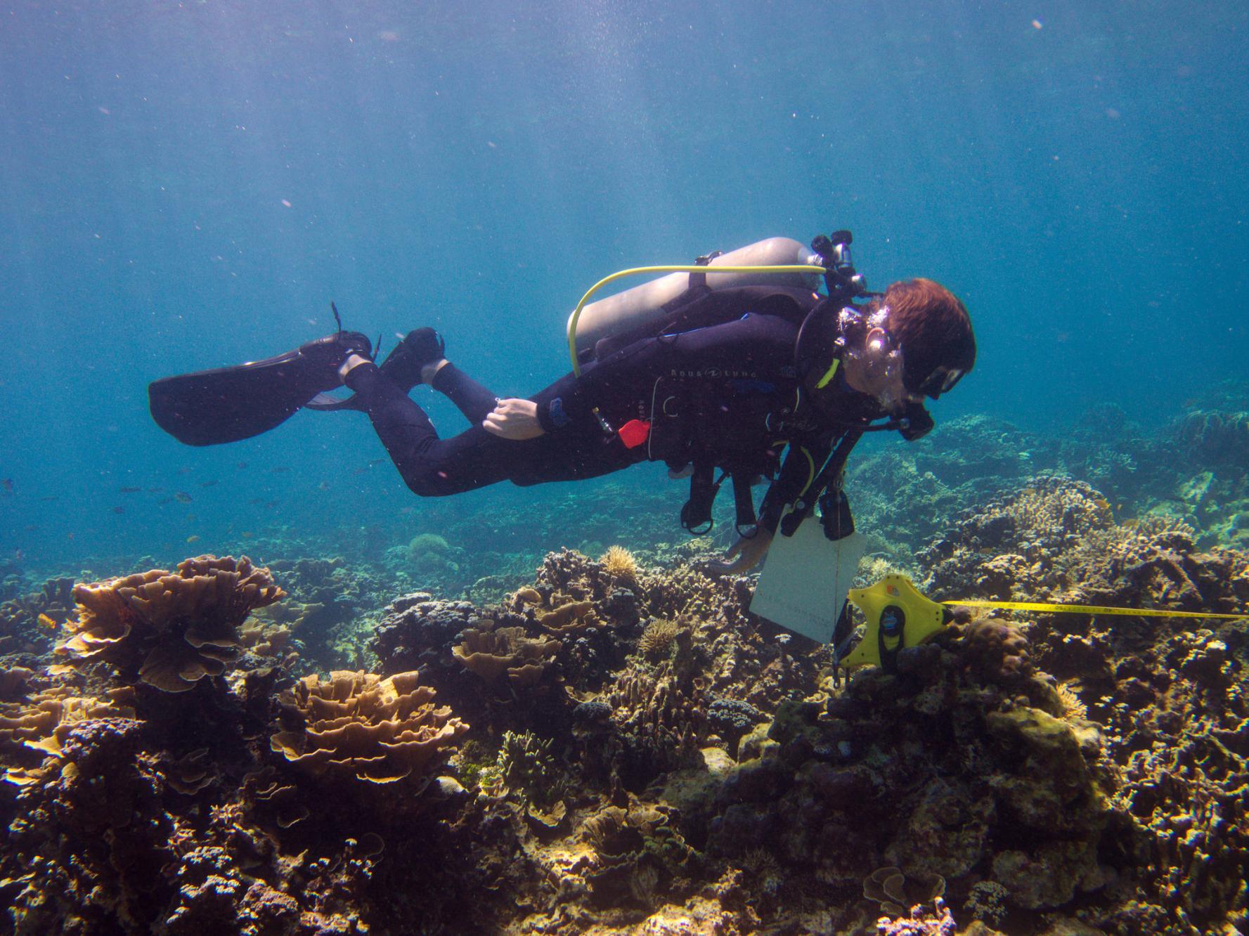 Scuba Divers Share The Strangest Thing That Has Ever Happened To Them Underwater