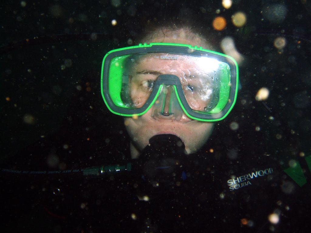 Scuba Divers Share The Strangest Thing That Has Ever Happened To Them Underwater