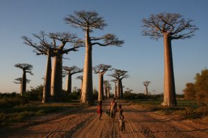The World's 57 Top Attractions According To Travelers