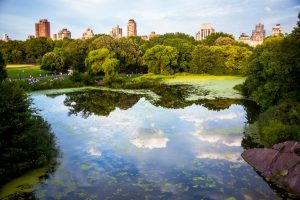 The World's 57 Top Attractions According To Travelers