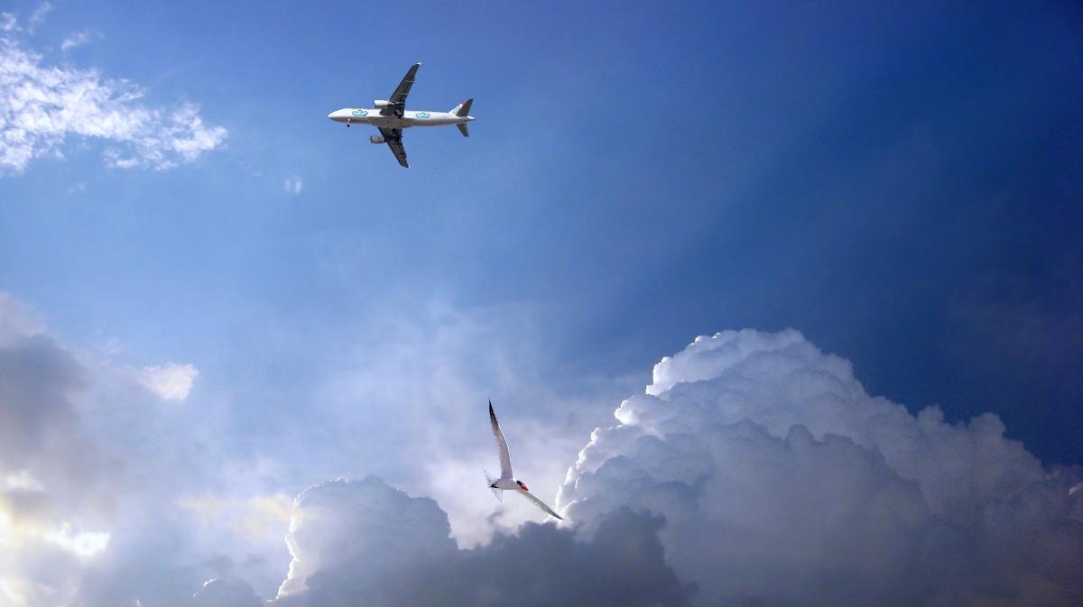 Stories Of Pilots Who Narrowly Avoided Disaster