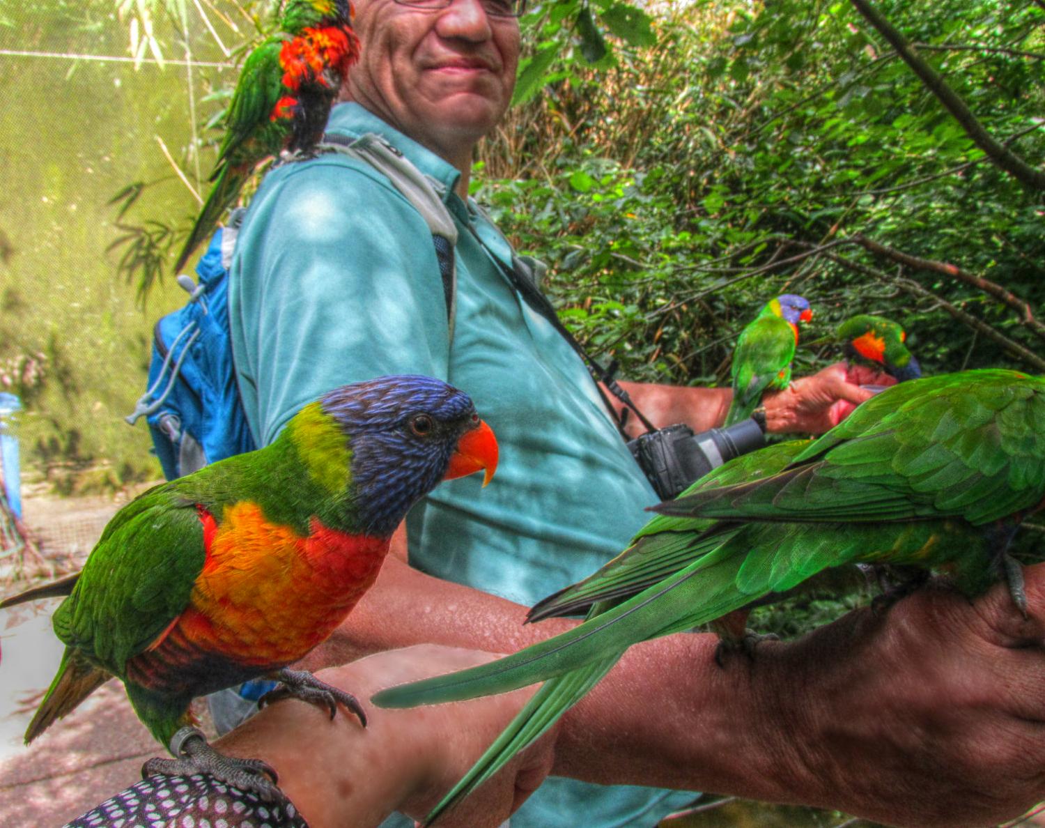 Zookeepers Share The Cutest Things They've Ever Seen Animals Do At The